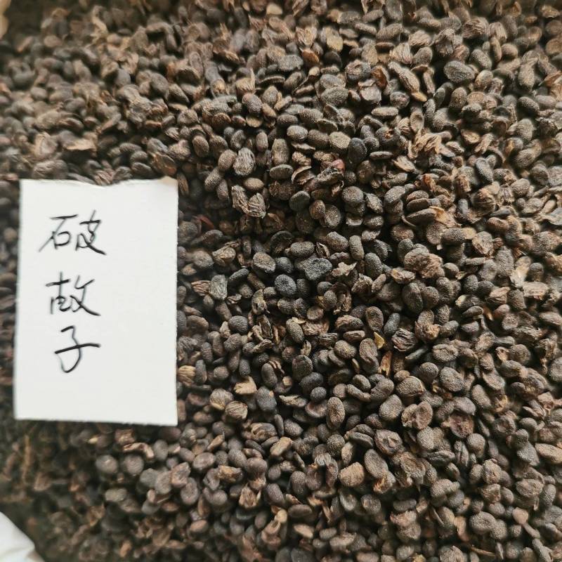 补骨脂，破故子