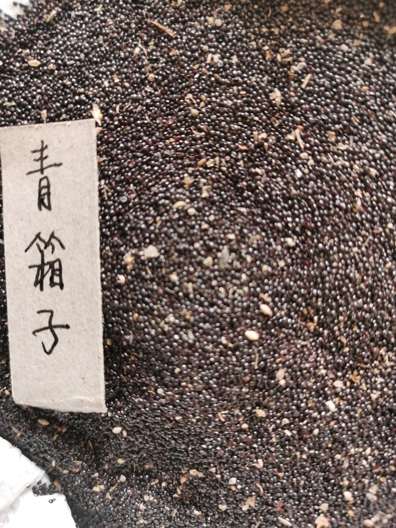 补骨脂，破故子