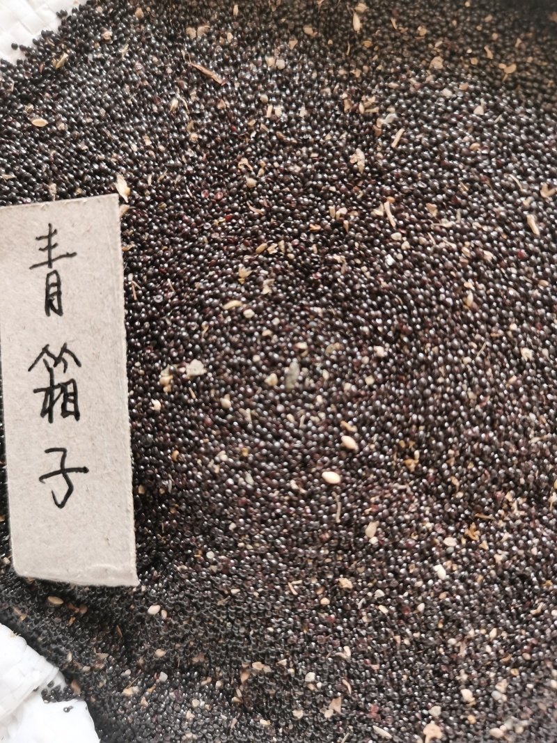补骨脂，破故子