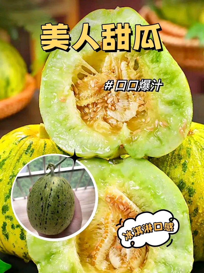 花蕾甜瓜七里香花美人甜瓜大量供应对接市场商超档口量大从优