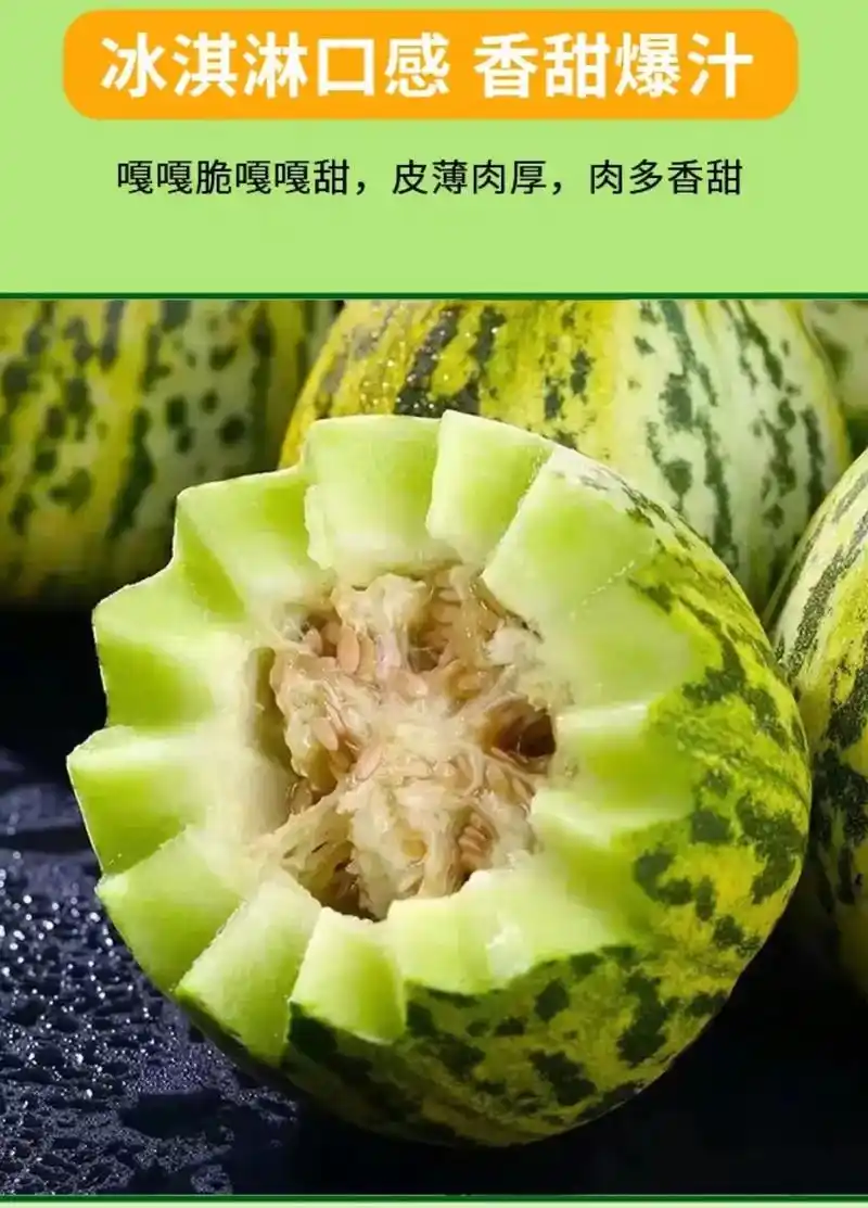 花蕾甜瓜七里香花美人甜瓜大量供应对接市场商超档口量大从优