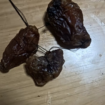 鹅宝