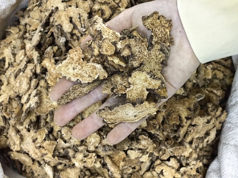 苍术批发优质苍术规格齐全内蒙红茬苍术量大价优