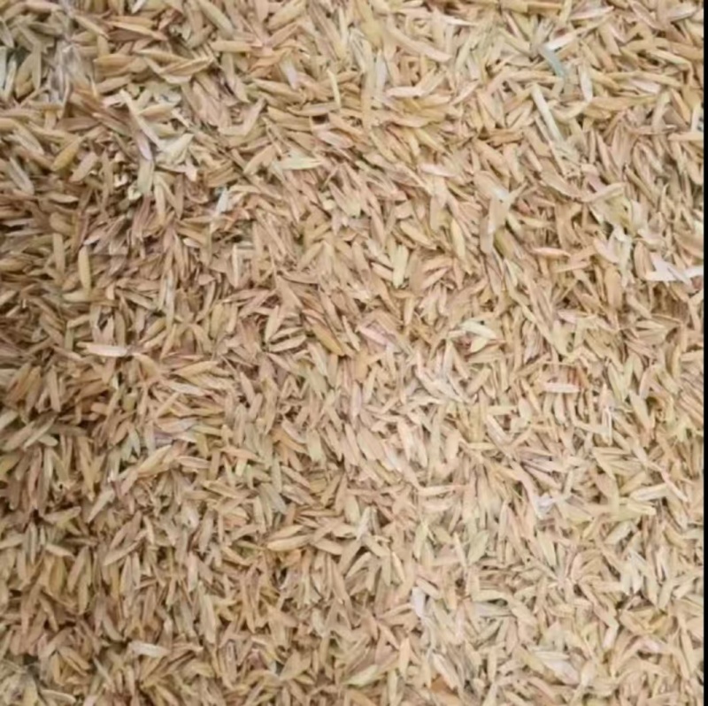 山东稻壳，压缩稻壳，打包稻壳，种植改良土壤养殖垫圈，现打
