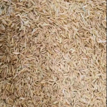江西稻壳，压缩稻壳，打包稻壳，雷竹种植，养殖垫圈，量大从优