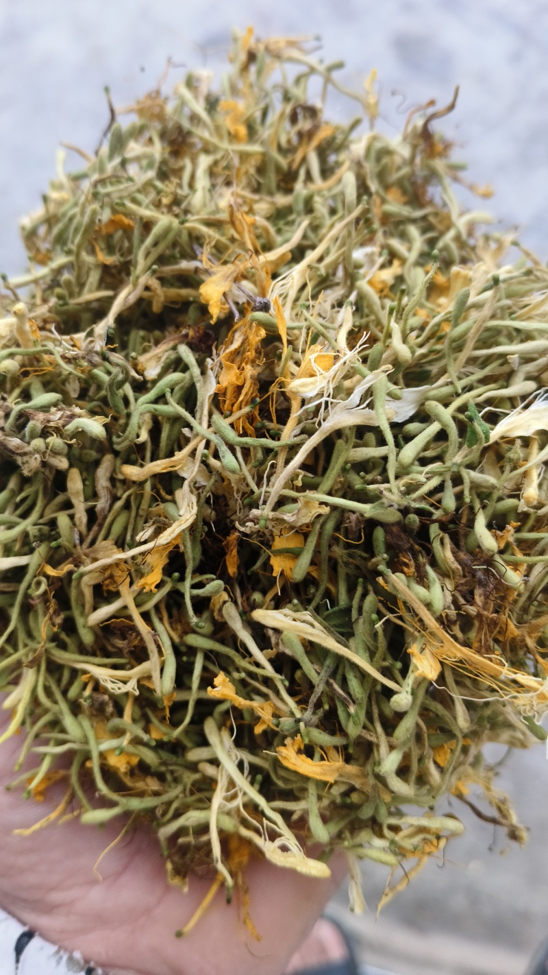贵州野生金银花产地直发无硫无霉量大优惠品质保障