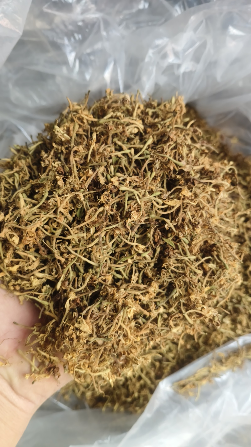 贵州野生金银花产地直发无硫无霉量大优惠品质保障