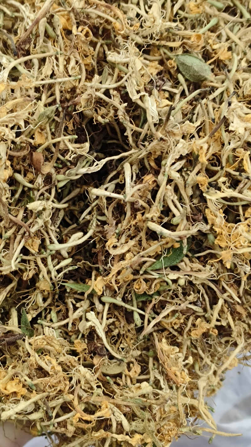 贵州野生金银花产地直发无硫无霉量大优惠品质保障