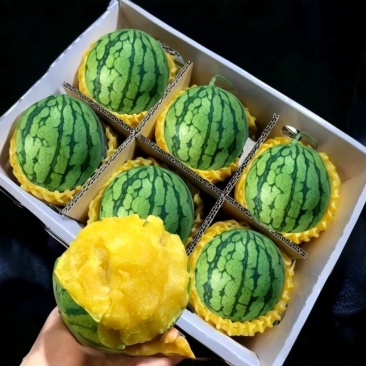 特小凤西瓜手撕冰淇淋黄瓤皮薄脆甜多汁新鲜采摘麒麟西瓜自然