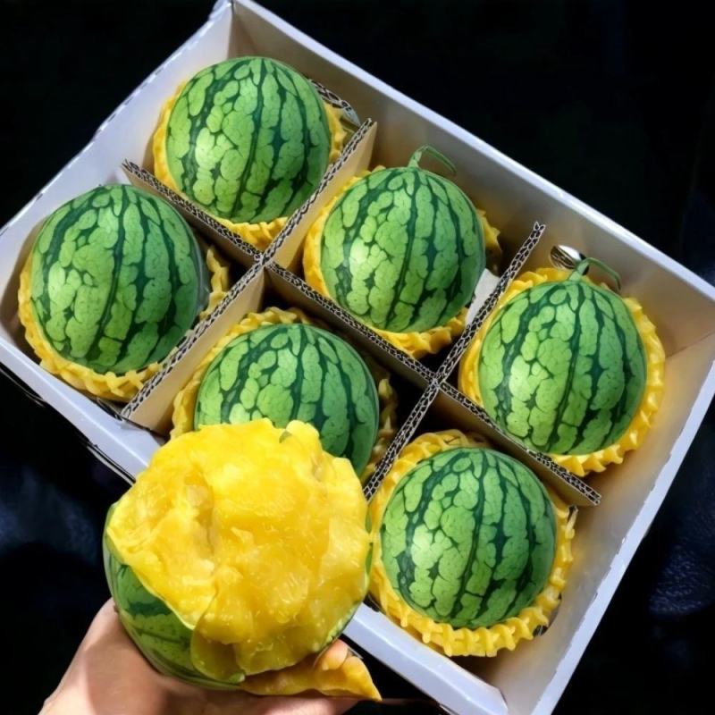 特小凤西瓜手撕冰淇淋黄瓤皮薄脆甜多汁新鲜采摘麒麟西瓜自然