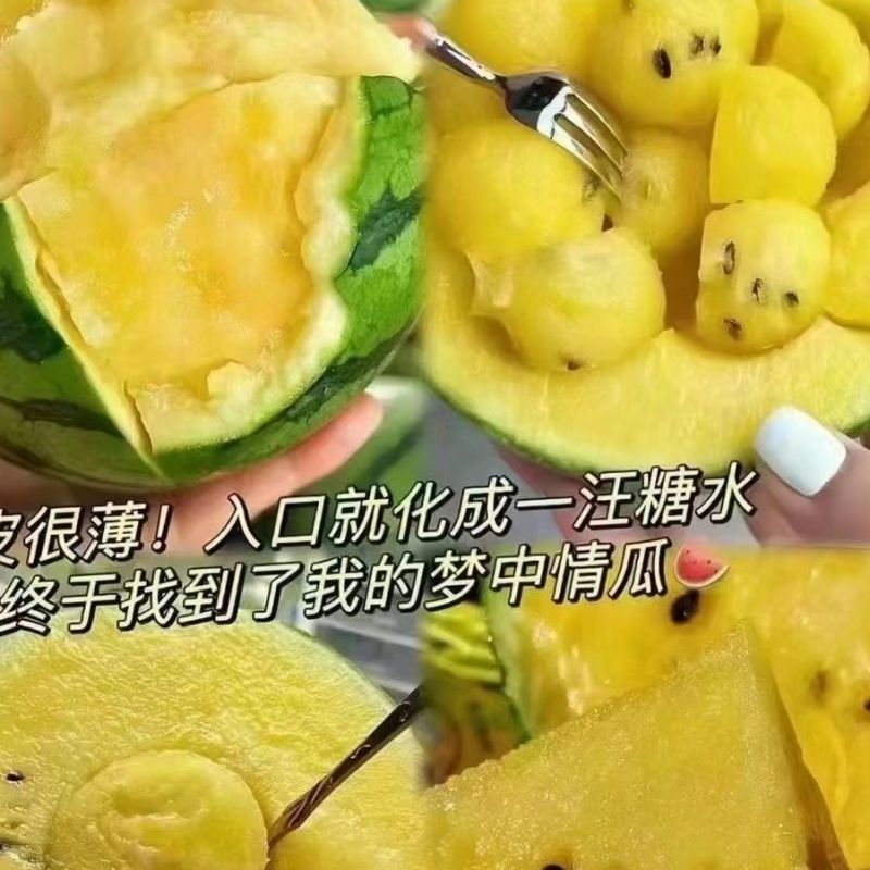 特小凤西瓜手撕冰淇淋黄瓤皮薄脆甜多汁新鲜采摘麒麟西瓜自然