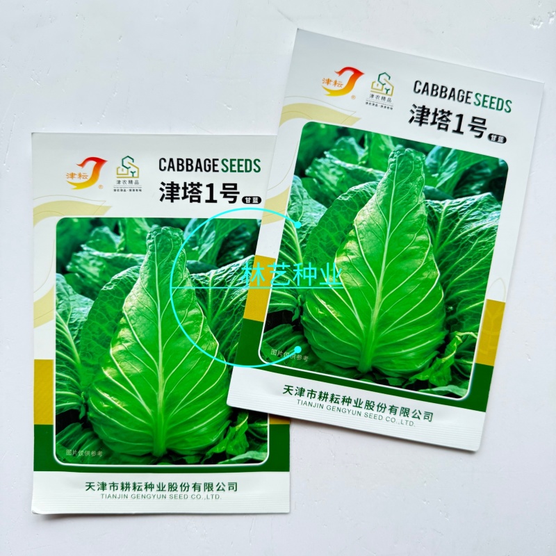 津塔1号牛心甘蓝种子优质高产耐热抗病商品性佳