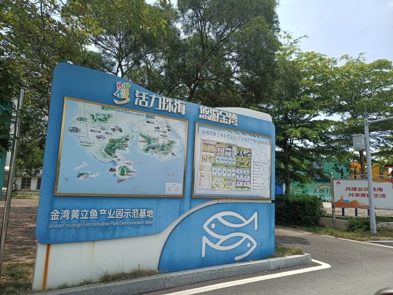 黄立鱼（黄翅鱼、黄鳍鲷）珠海金湾国家地理标志产品畅销全球