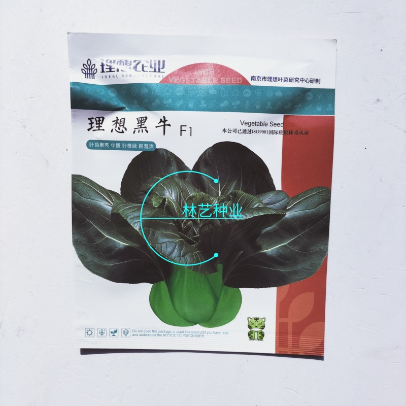 理想黑牛F1杂交苏州青种子太湖菜种籽油亮耐寒高产口感好