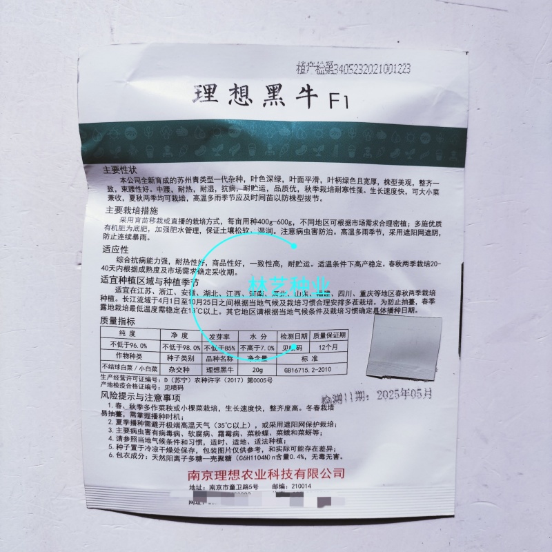 理想黑牛F1杂交苏州青种子太湖菜种籽油亮耐寒高产口感好