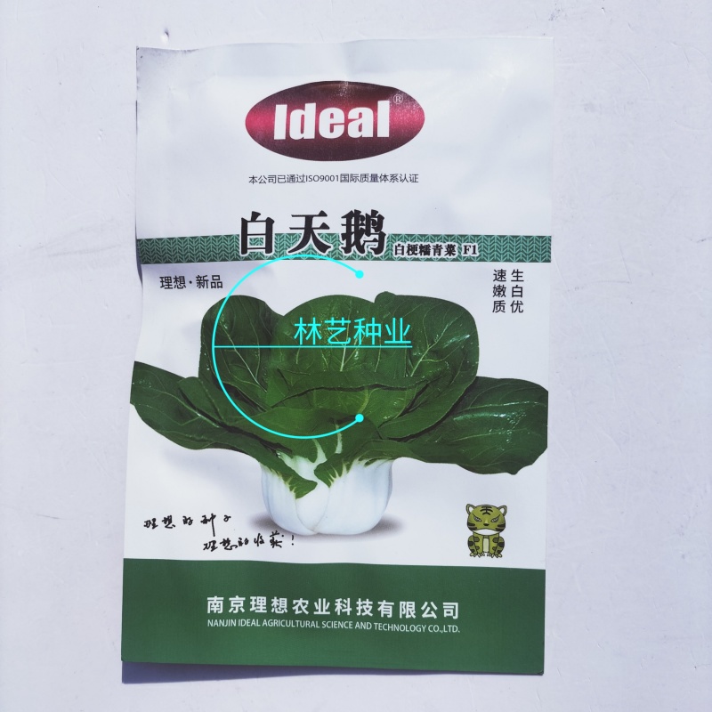 理想白天鹅白梗糯青菜种子杂交高产速生矮脚小白菜籽春秋蔬菜