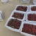 陕西宝鸡美早樱桃基地，口感好，个头大，价格美丽