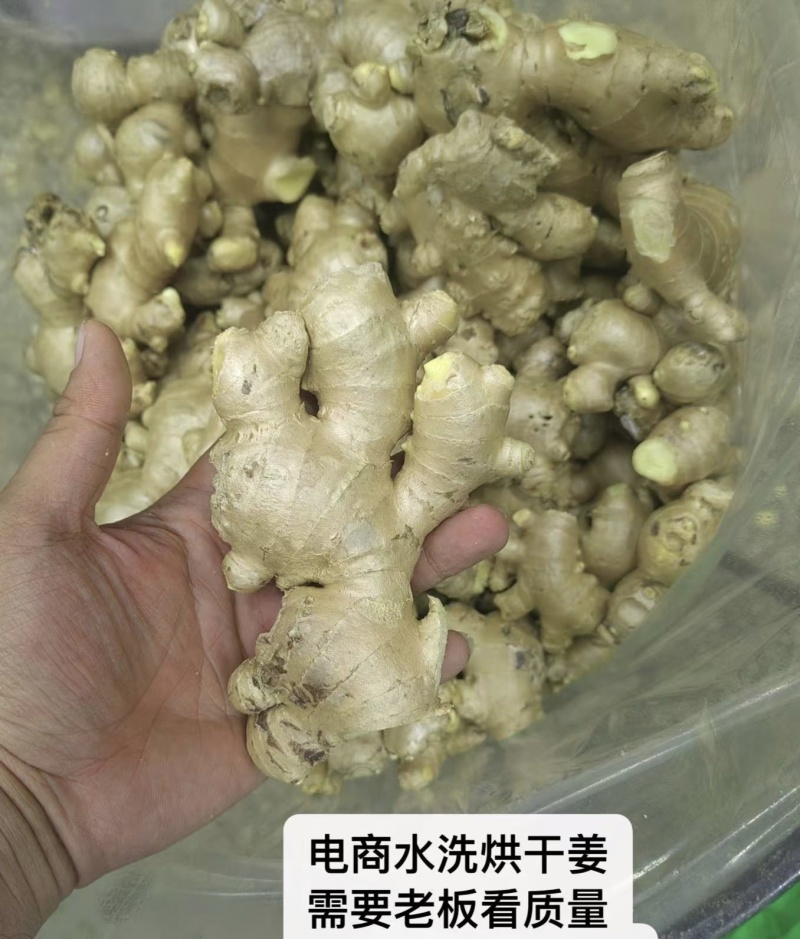 精品电商风干姜，50克起，规格全大量现货，水洗姜坏烂包赔