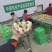 精品电商风干姜，50克起，规格全大量现货，水洗姜坏烂包赔