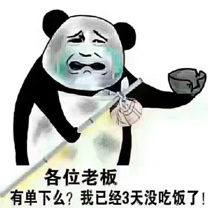 秘鲁鱿鱼碎肉.打浆做丸子，喂螺，未泡药未泡水