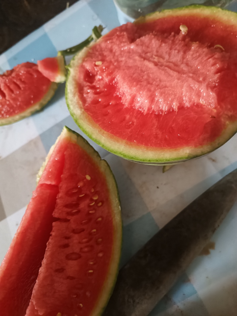 冷棚西瓜一乛