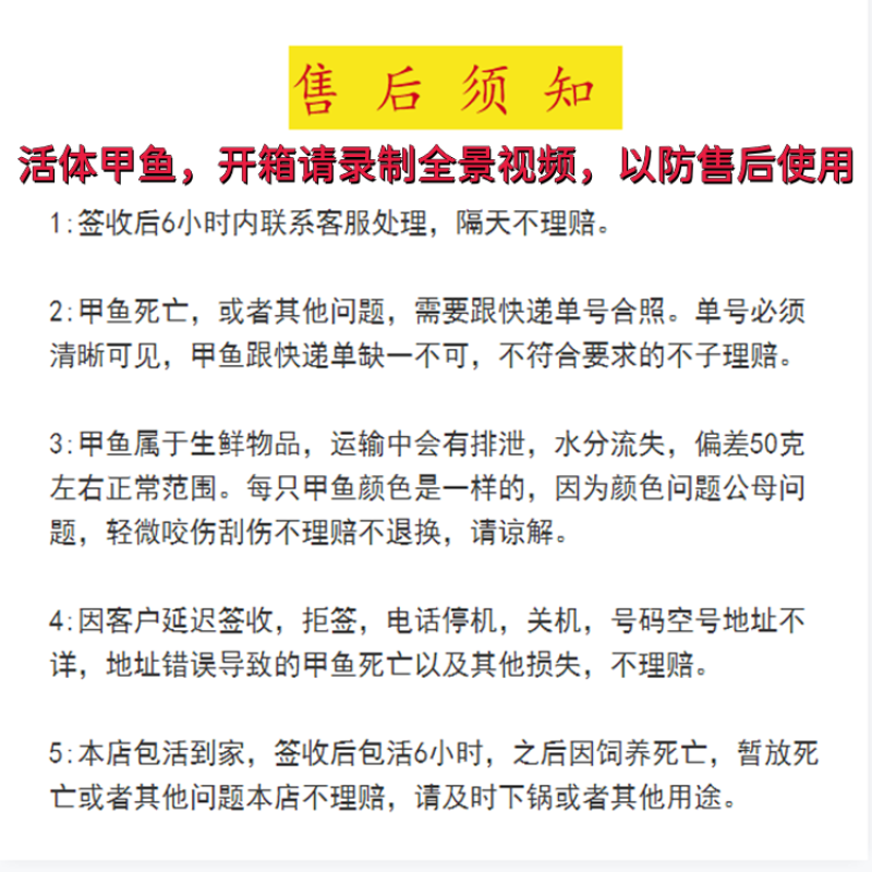包邮）鲜活新鲜甲鱼鲜活甲鱼足斤团鱼王八食用正宗水鱼生态