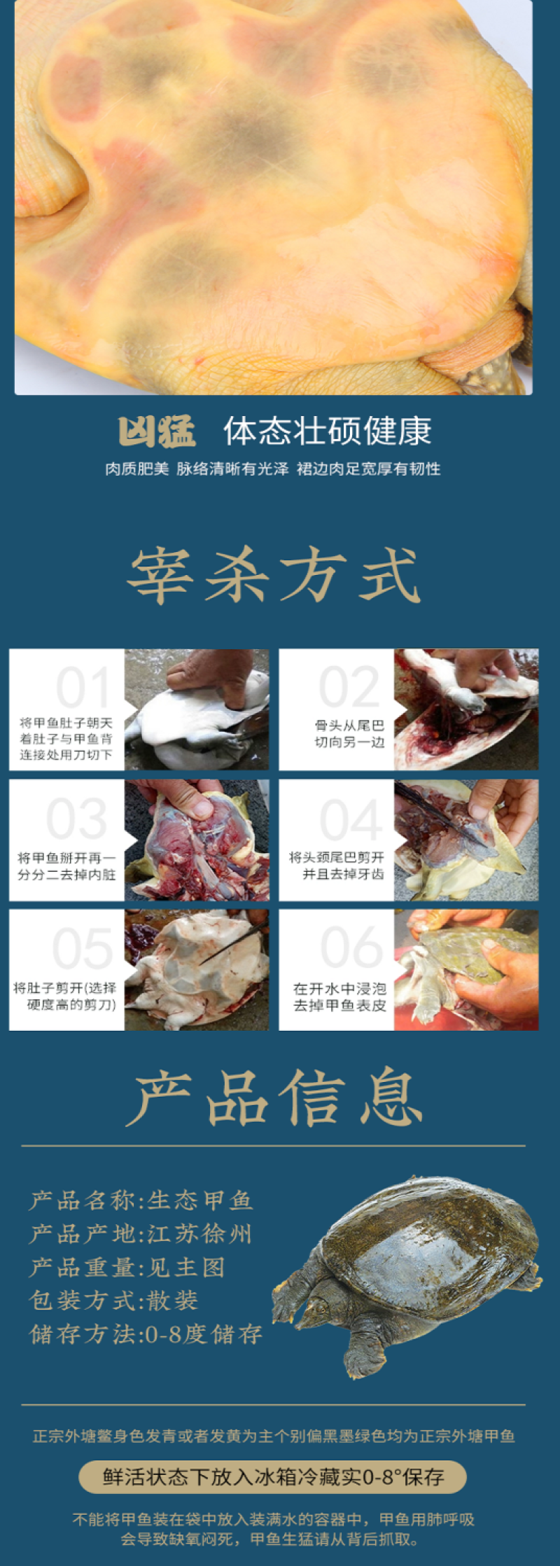 包邮）鲜活新鲜甲鱼鲜活甲鱼足斤团鱼王八食用正宗水鱼生态