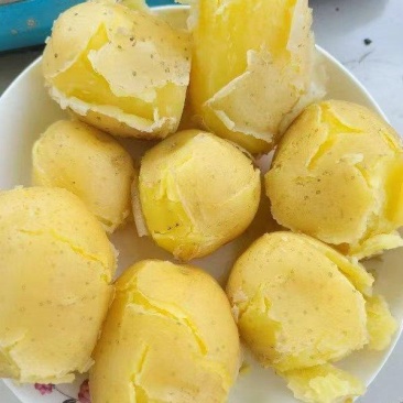 山东土豆大量供应，品种齐全，产地追溯，地标认证，