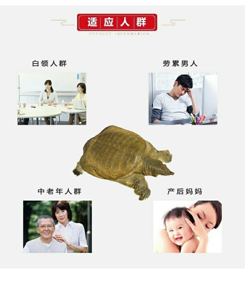 包邮）正宗青黄背大甲鱼生态天然放养青黄背稻田散养食用鲜活