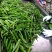 (农场现摘现卖)秋葵新鲜蔬菜鲜嫩当季秋葵批发羊角豆1斤5