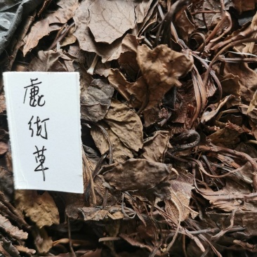 鹿衔草