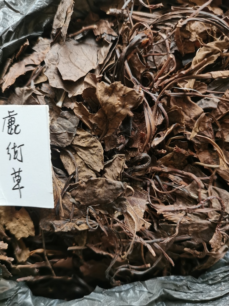 鹿衔草