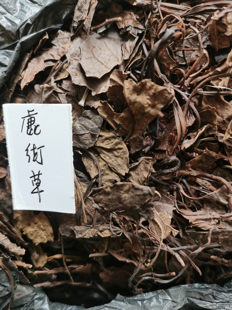 鹿衔草