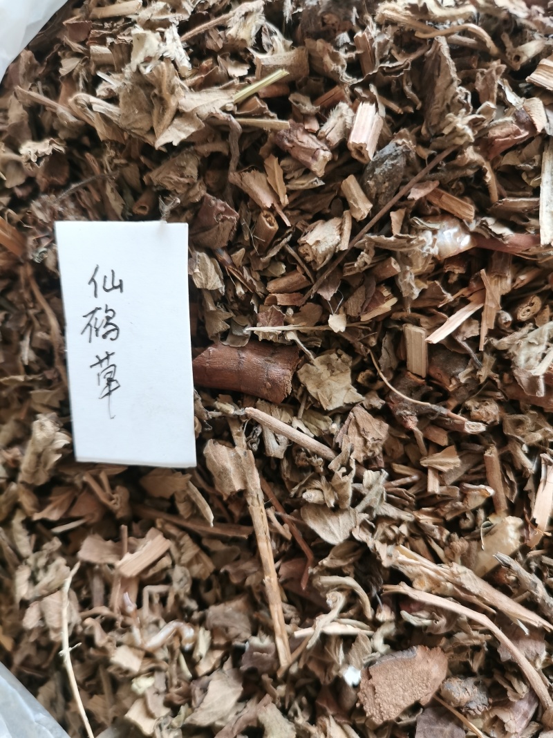 肺形草