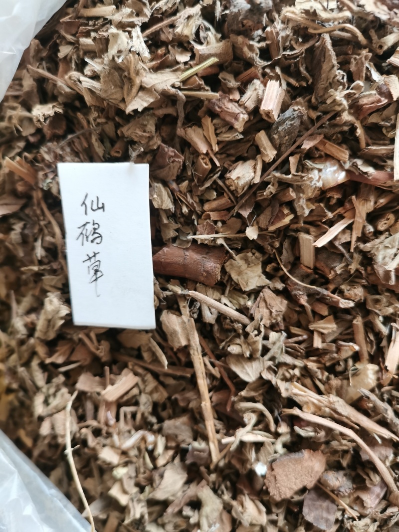肺形草