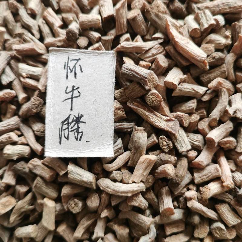 怀牛膝