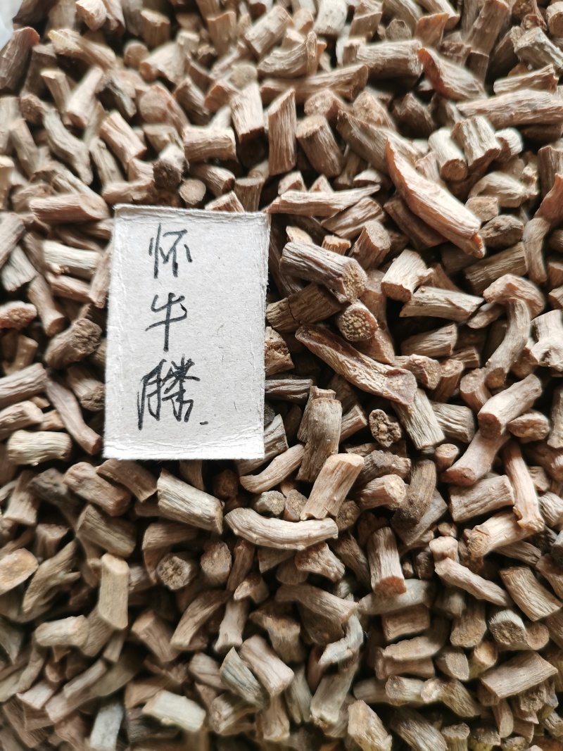 怀牛膝