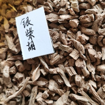 银柴胡