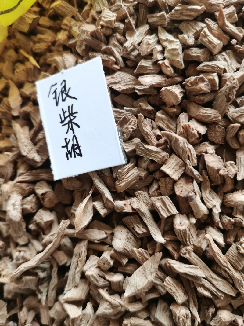 银柴胡