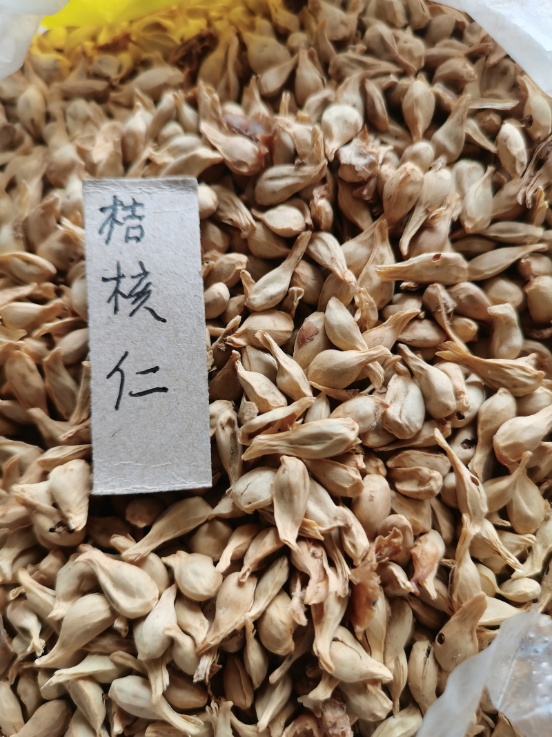 桔核仁