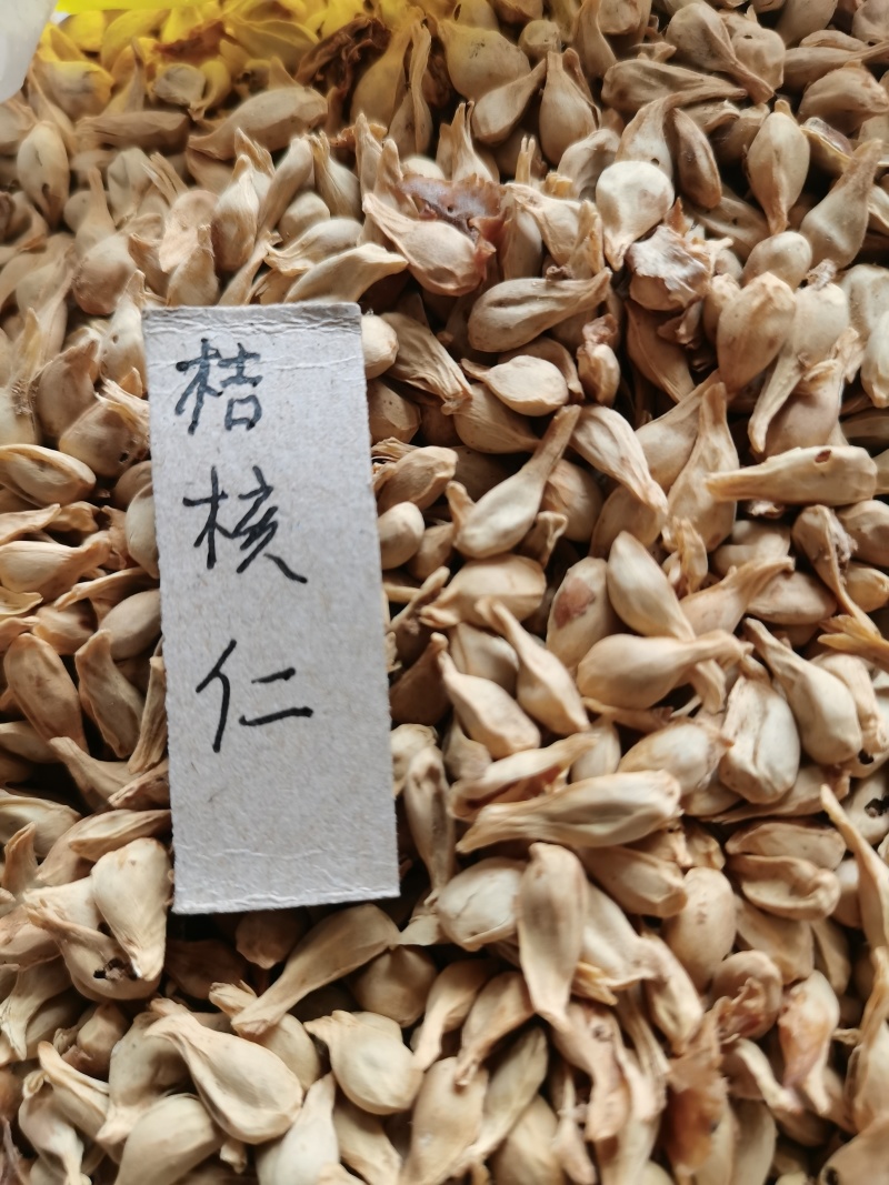 桔核仁