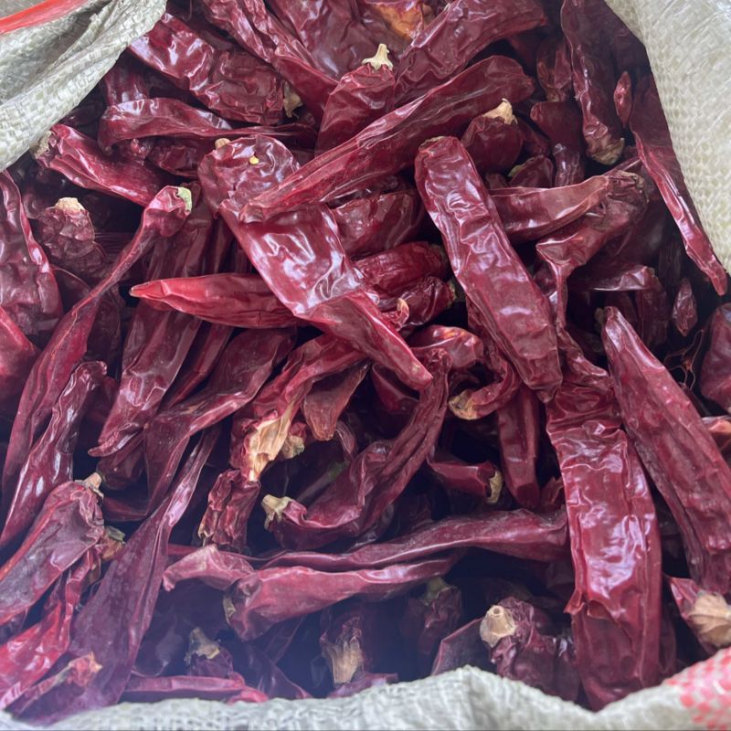 精品红龙23，上色辣椒，高色价里外红，打细粉和粗粉
