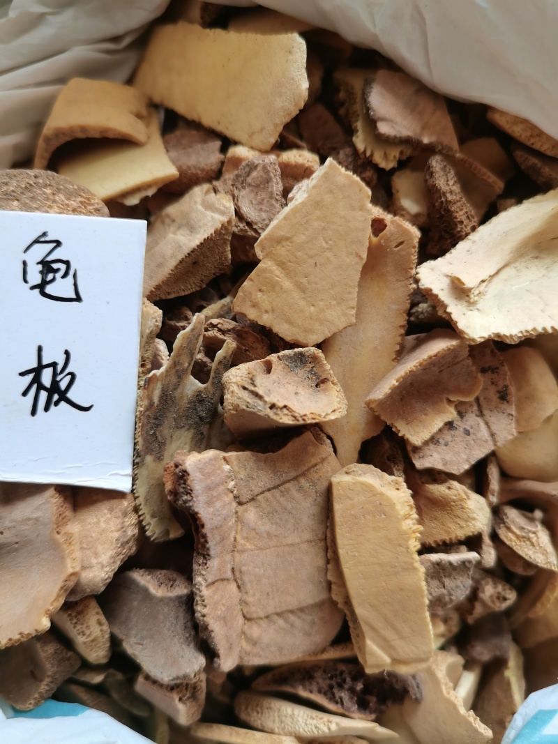 龟板