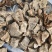 野生山乌龟大量供货品质保证支持视频看货欢迎来电谈