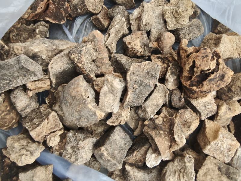 野生山乌龟大量供货品质保证支持视频看货欢迎来电谈