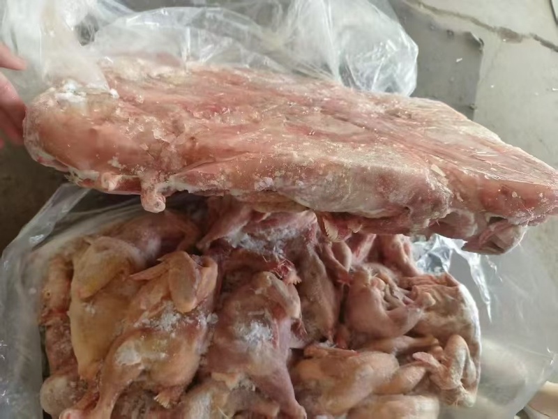 饲料级残鸡