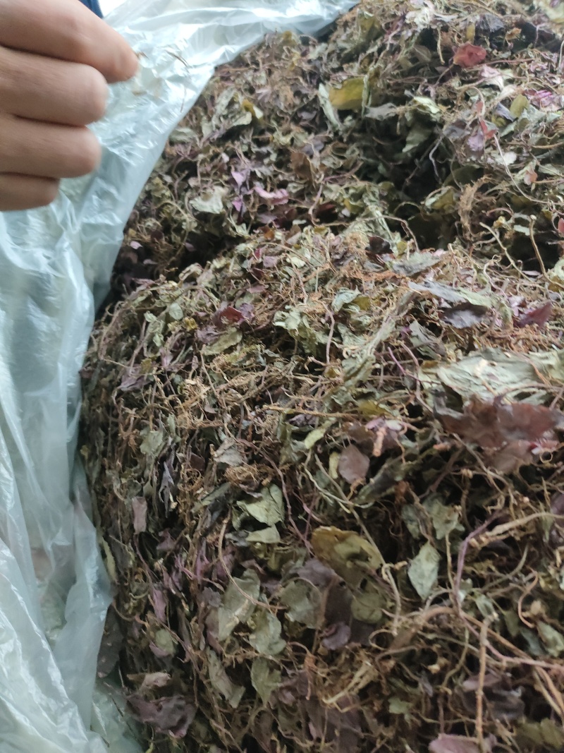 风柜斗草一手货源批发零售