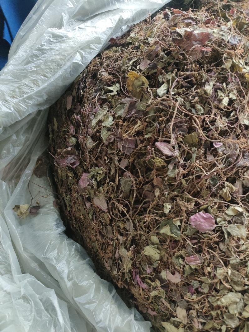 风柜斗草一手货源批发零售