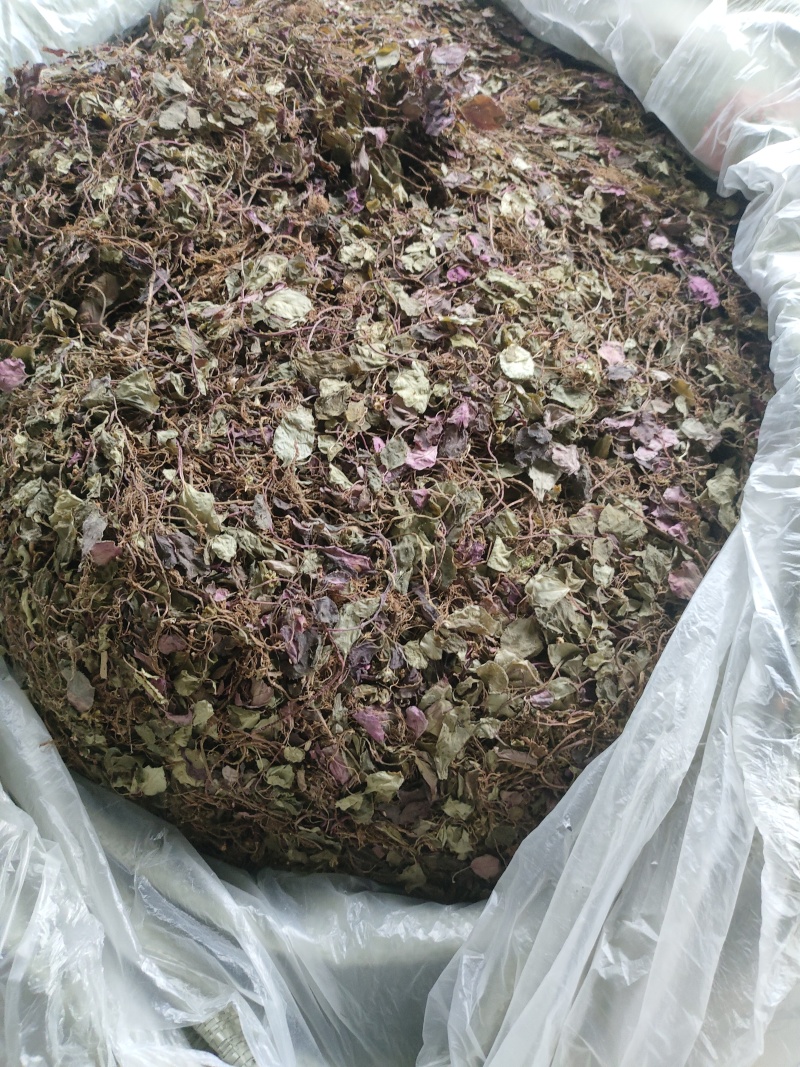 风柜斗草一手货源批发零售