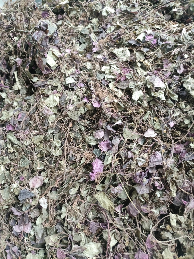 风柜斗草一手货源批发零售